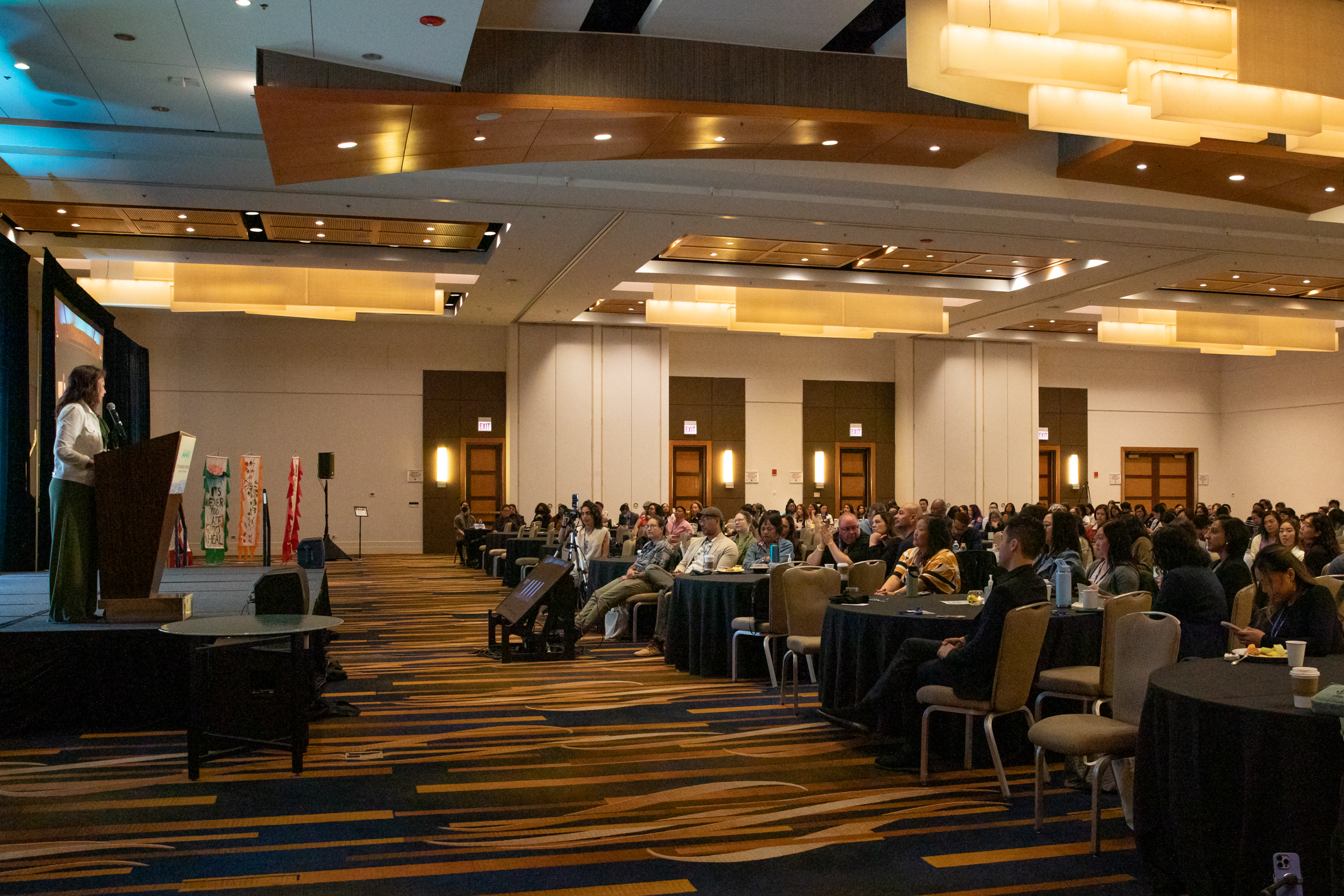 AAPIP 2025 Conference