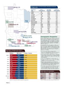 Report Cover: Minnesota Profile: Asian & Pacific Islander Census 2000 Data