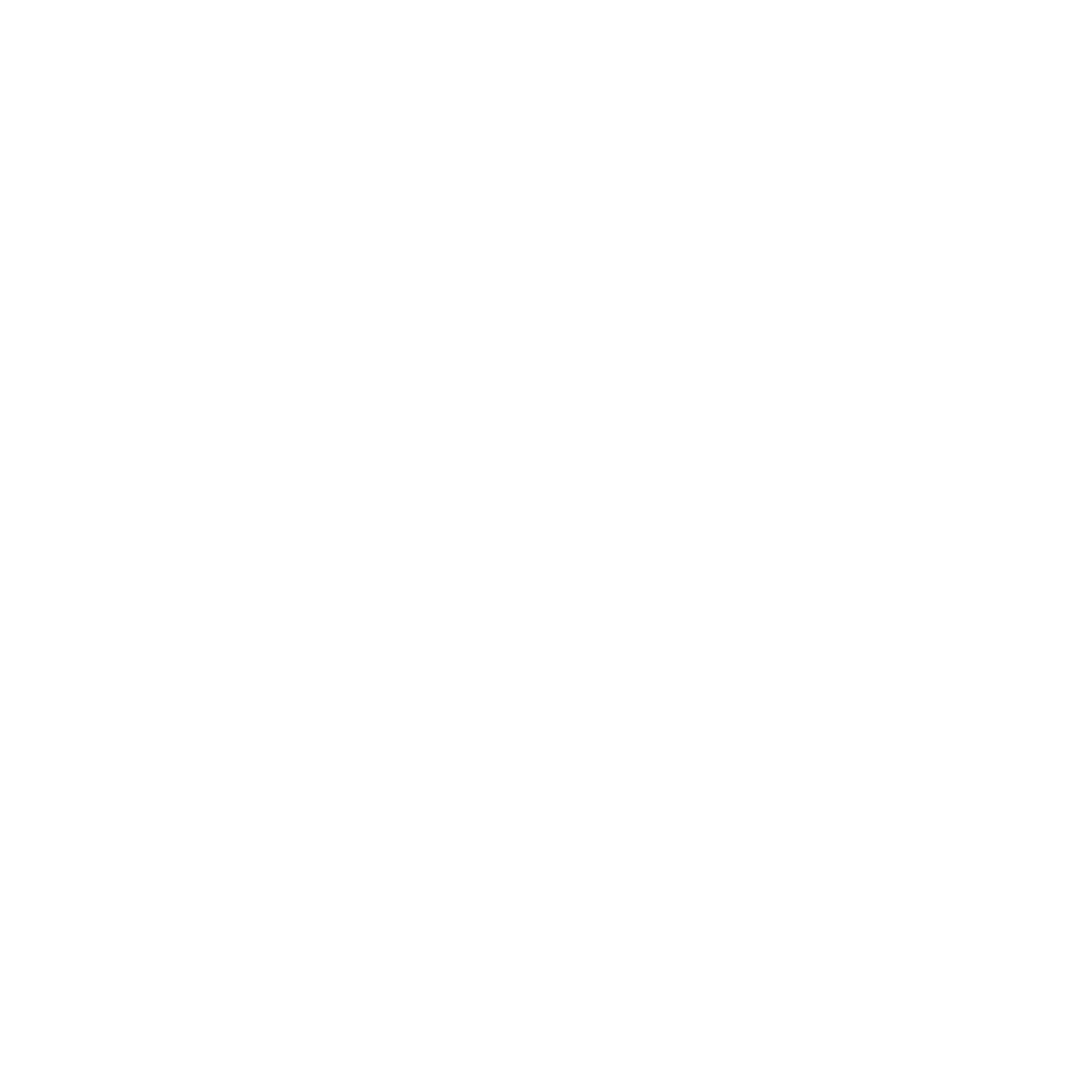 http://AAPIP%20Connect%20logo
